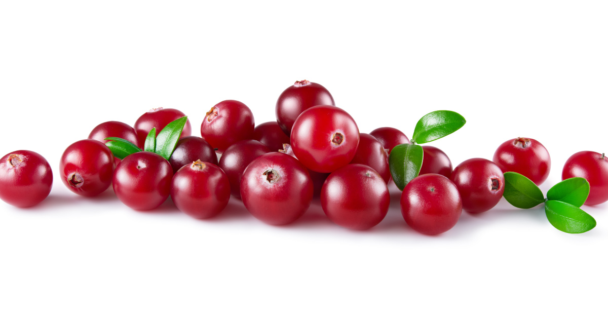 cranberry o q é, cranberry serve para que, cranberry é bom para quê, cranberry e infecção urinária, cranberry como consumir, cranberry e mirtilo é a mesma coisa, cranberry como tomar, cranberry fruta para que serve, cranberry é bom para infecção urinaria, cranberry e seus benefícios, cranberry trata infecção urinaria